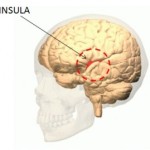 insula3-300x269